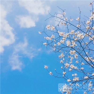 契约远征官方版(暂未上线)v1.0.0 安卓版