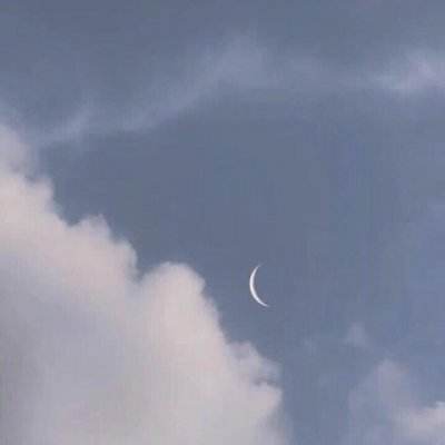 阿凡达重返潘多拉游戏下载